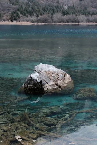 Crystal-clear lake water over sunken rocks and branches